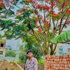 rs.ashraful33