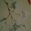 livyieeh