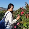 ntthuyet_