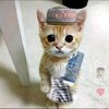 my.strse