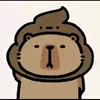 ca.pybara.com
