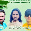 chota.ansari.am