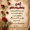 user31839412504815