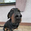 7jessie_lingardinho