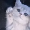 あすか@勉強