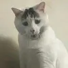 megatroll90