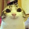 djksjdhwidjwjiww_yamsama