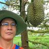 montridurian