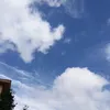 景軒