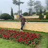 tran.dung164