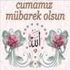 user3516540143755