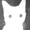 __naoseimeo_