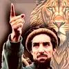 ibrahim.hussein274
