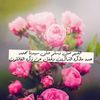 deem0133