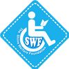 swfpakistan