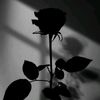 yoyo_f123