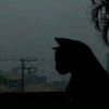 redhood_4560