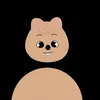 skzfan_1.4.3