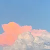 cassuuygvsh