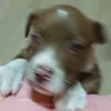 soohthequeen