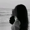 .dodo2113
