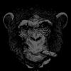 monkeygang7890