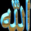 mohammadnoornabi7