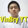 VinBryYT