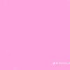 shannn_204