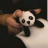 pandasnutz