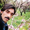 sherkhanswat0