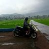 mergy41