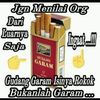 juniahmad12