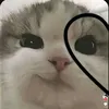 yssaverzellemendo