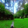 nuha_betmustafa