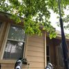 5ftcharacter35