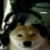 uwuerz7