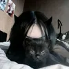 kay2kitty