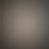feli_1733