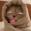 tyzy_17