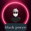 blockpoxye.gamer
