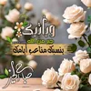 user3450386004047