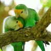 aysha.mahmud2