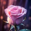 om.mahmad.1