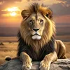 mhamed3.d77