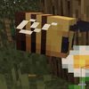 tadeo_xyz35