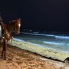 ibrahim._451