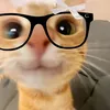 luvelyy_kitty