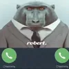 robertsigmaomegaohio