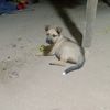 casildo.garca3